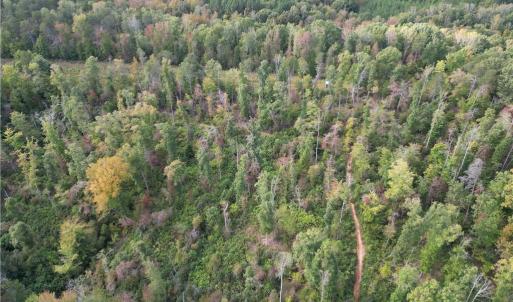 Photo #20 of Almond, Reidsville, NC 30.4 acres