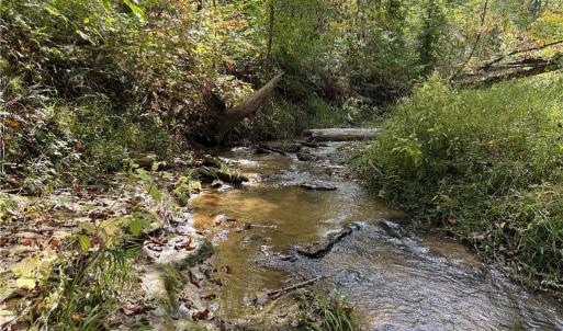 Photo #9 of Almond, Reidsville, NC 30.4 acres