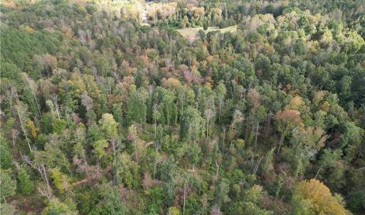 Photo #24 of Almond, Reidsville, NC 30.4 acres