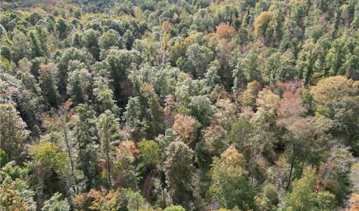 Photo #14 of Almond, Reidsville, NC 30.4 acres