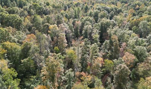 Photo #15 of Almond, Reidsville, NC 30.4 acres