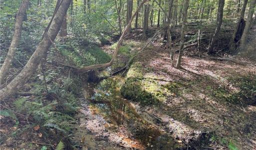 Photo #11 of Almond, Reidsville, NC 30.4 acres