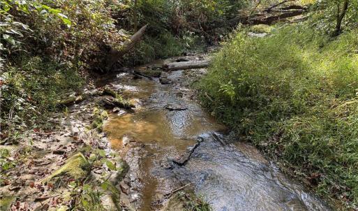 Photo #8 of Almond, Reidsville, NC 30.4 acres