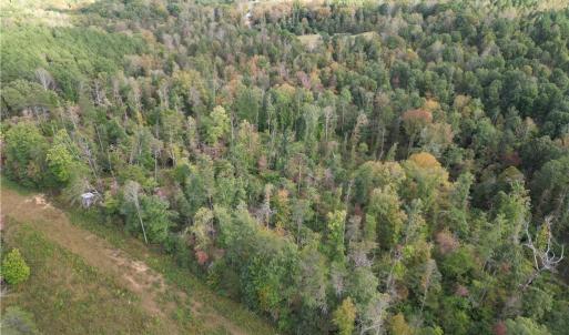 Photo #25 of Almond, Reidsville, NC 30.4 acres