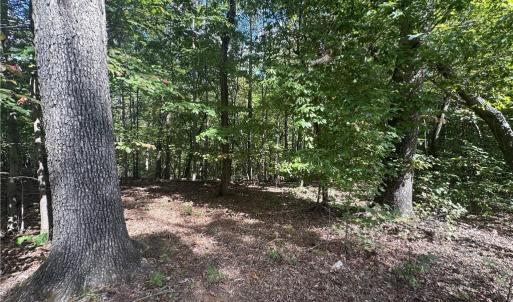 Photo #12 of 8410 Linville, Oak Ridge, NC 7.8 acres