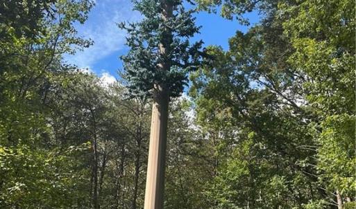 Photo #28 of 8410 Linville, Oak Ridge, NC 7.8 acres