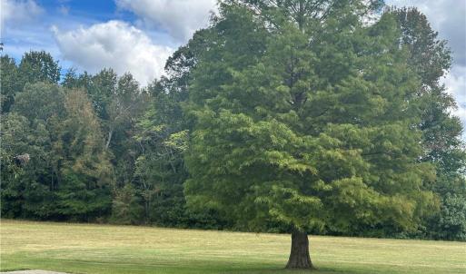 Photo #30 of 8410 Linville, Oak Ridge, NC 7.8 acres