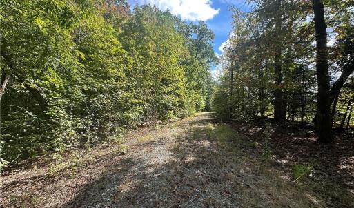 Photo #12 of 8410 Linville, Oak Ridge, NC 7.8 acres