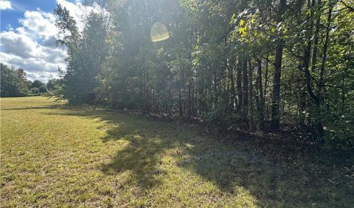 Photo #20 of 8410 Linville, Oak Ridge, NC 7.8 acres