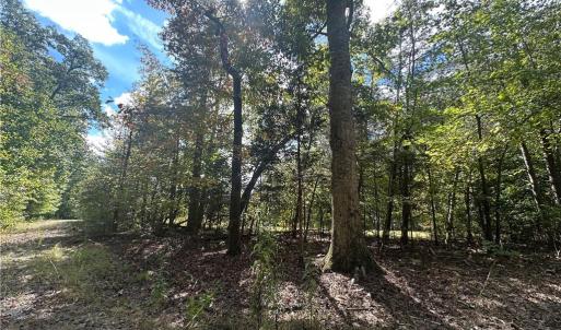 Photo #11 of 8410 Linville, Oak Ridge, NC 7.8 acres