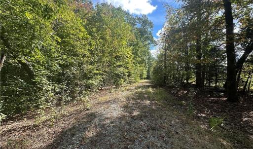 Photo #12 of 8410 Linville, Oak Ridge, NC 7.8 acres