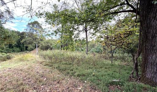 Photo #6 of Friendship, Germanton, NC 4.7 acres