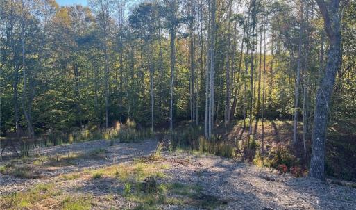 Photo #7 of 6455 Reubens Ridge, Winston-Salem, NC 5.5 acres