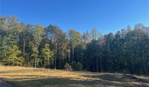 Photo #3 of 6455 Reubens Ridge, Winston-Salem, NC 5.5 acres