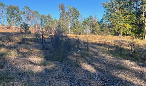 Photo #9 of 6455 Reubens Ridge, Winston-Salem, NC 5.5 acres