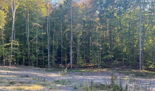 Photo #8 of 6455 Reubens Ridge, Winston-Salem, NC 5.5 acres