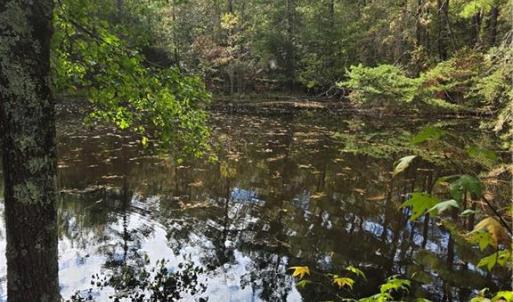 Photo #4 of Bass Mountain, Snow Camp, NC 10.2 acres