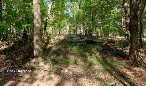Photo #27 of 1751 Flat Rock, Pinnacle, NC 40.7 acres