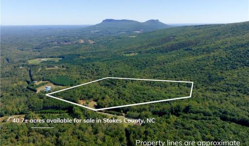 Photo #2 of 1751 Flat Rock, Pinnacle, NC 40.7 acres