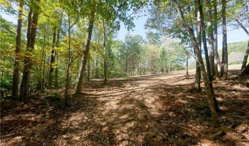 Photo #42 of 1751 Flat Rock, Pinnacle, NC 40.7 acres