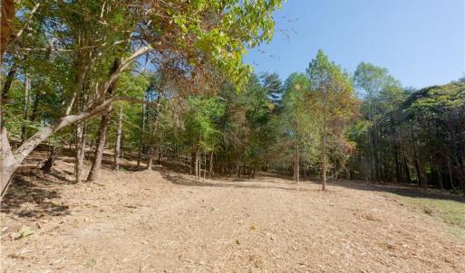 Photo #13 of 1751 Flat Rock, Pinnacle, NC 40.7 acres