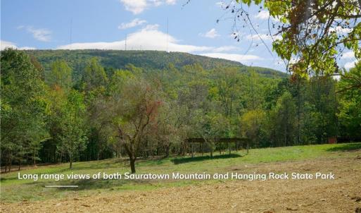 Photo #17 of 1751 Flat Rock, Pinnacle, NC 40.7 acres