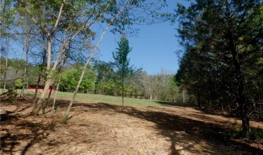Photo #43 of 1751 Flat Rock, Pinnacle, NC 40.7 acres