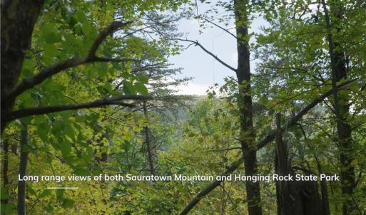 Photo #16 of 1751 Flat Rock, Pinnacle, NC 40.7 acres
