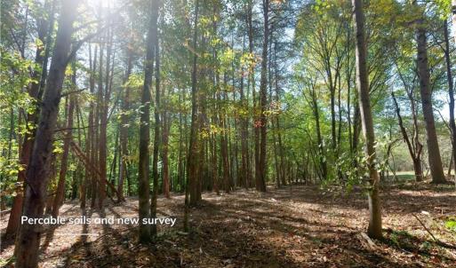 Photo #12 of 1751 Flat Rock, Pinnacle, NC 40.7 acres