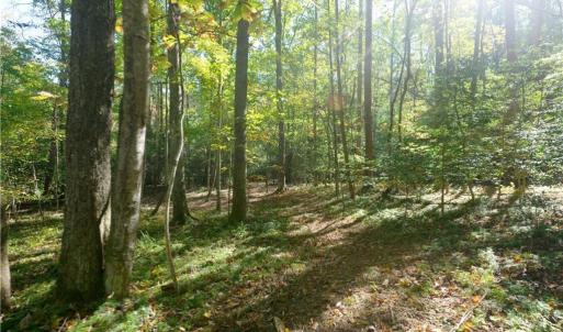 Photo #26 of 1751 Flat Rock, Pinnacle, NC 40.7 acres