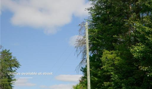 Photo #22 of 1751 Flat Rock, Pinnacle, NC 40.7 acres