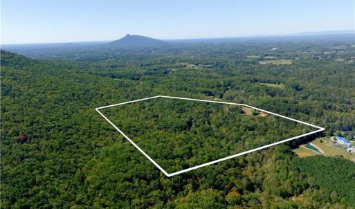 Photo #3 of 1751 Flat Rock, Pinnacle, NC 40.7 acres