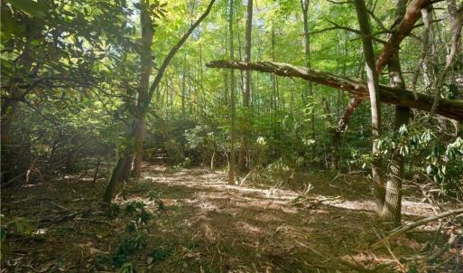 Photo #36 of 1751 Flat Rock, Pinnacle, NC 40.7 acres