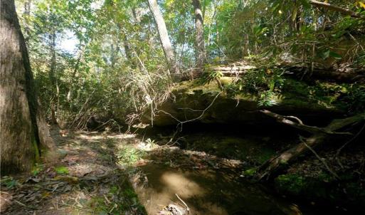 Photo #28 of 1751 Flat Rock, Pinnacle, NC 40.7 acres