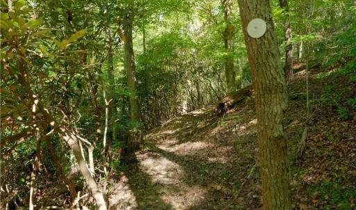 Photo #34 of 1751 Flat Rock, Pinnacle, NC 40.7 acres