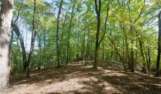 Photo #38 of 1751 Flat Rock, Pinnacle, NC 40.7 acres