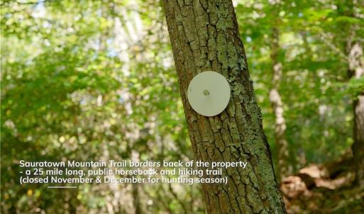 Photo #33 of 1751 Flat Rock, Pinnacle, NC 40.7 acres