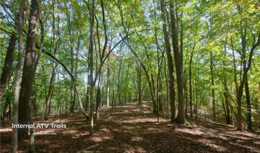 Photo #37 of 1751 Flat Rock, Pinnacle, NC 40.7 acres
