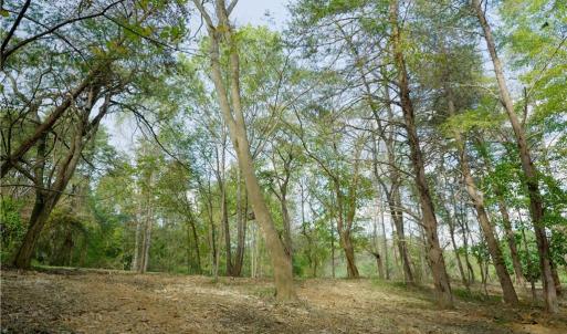 Photo #15 of 1751 Flat Rock, Pinnacle, NC 40.7 acres