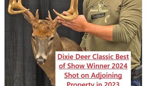 Photo #44 of 1751 Flat Rock, Pinnacle, NC 40.7 acres