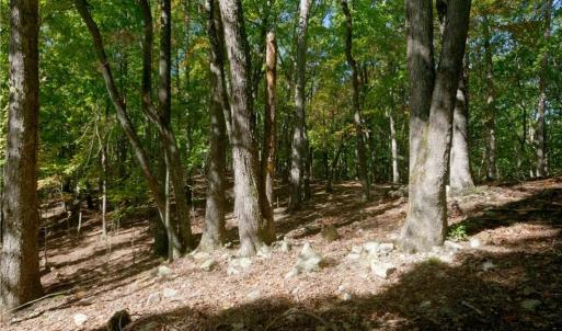 Photo #40 of 1751 Flat Rock, Pinnacle, NC 40.7 acres