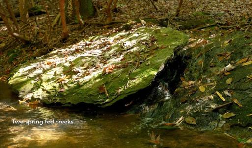 Photo #29 of 1751 Flat Rock, Pinnacle, NC 40.7 acres