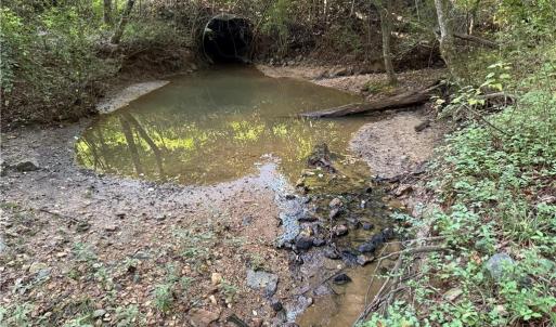 Photo #4 of Lot 5 Rock Haven, King, NC 8.9 acres