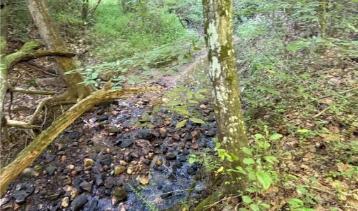 Photo #8 of Lot 5 Rock Haven, King, NC 8.9 acres