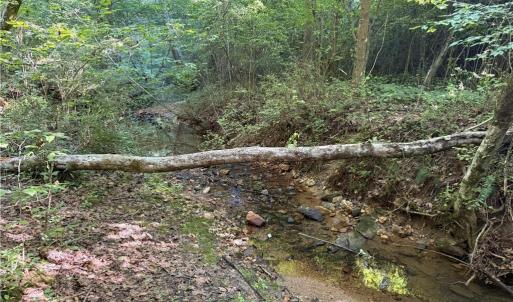 Photo #9 of Lot 5 Rock Haven, King, NC 16.4 acres