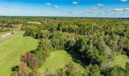 Photo #6 of Hunting Lodge, Climax, NC 32.6 acres