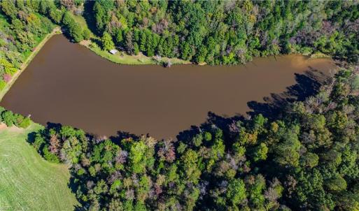 Photo #13 of Hunting Lodge, Climax, NC 32.6 acres