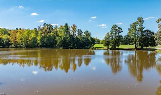 Photo #11 of Hunting Lodge, Climax, NC 32.6 acres