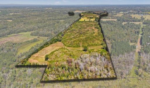 Photo #31 of 223 Church Street, Reidsville, NC 354.8 acres