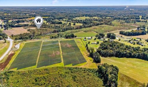 Photo #15 of 223 Church Street, Reidsville, NC 354.8 acres